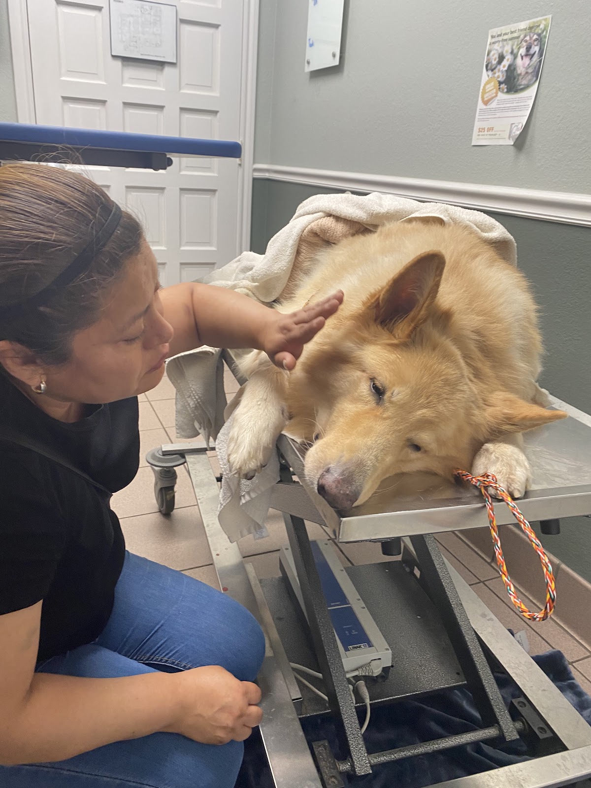 Community Pet Outreach ~ Pet Health Hub - doctors in Lewisville, TX (Photo 1)