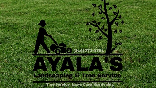 Ayala's Landscaping & Tree Service - tree-service in Dallas, TX (Photo 3)