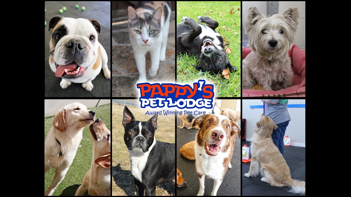 Pappy's Pet Lodge - N. Plano - hotels in Plano, TX (Photo 1)