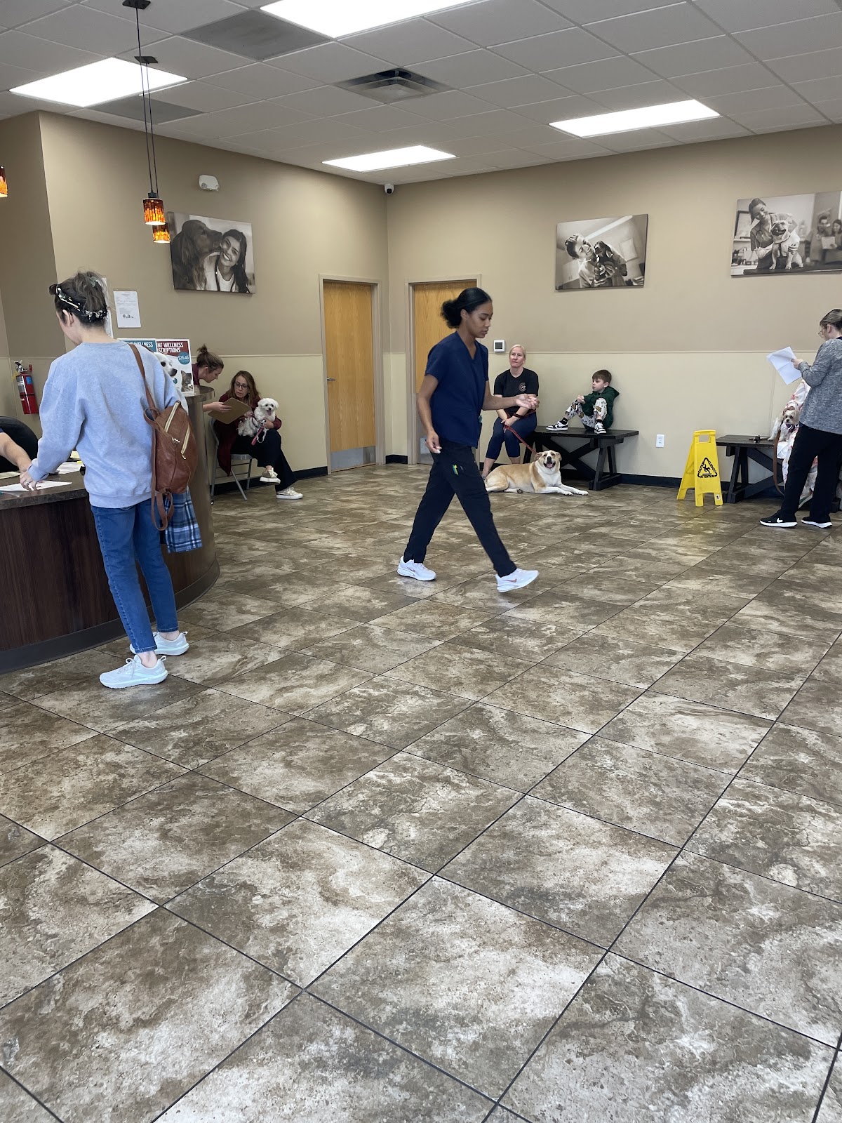 Texas Coalition for Animal Protection | TCAP Ft. Worth - shopping in Fort Worth, TX (Photo 1)