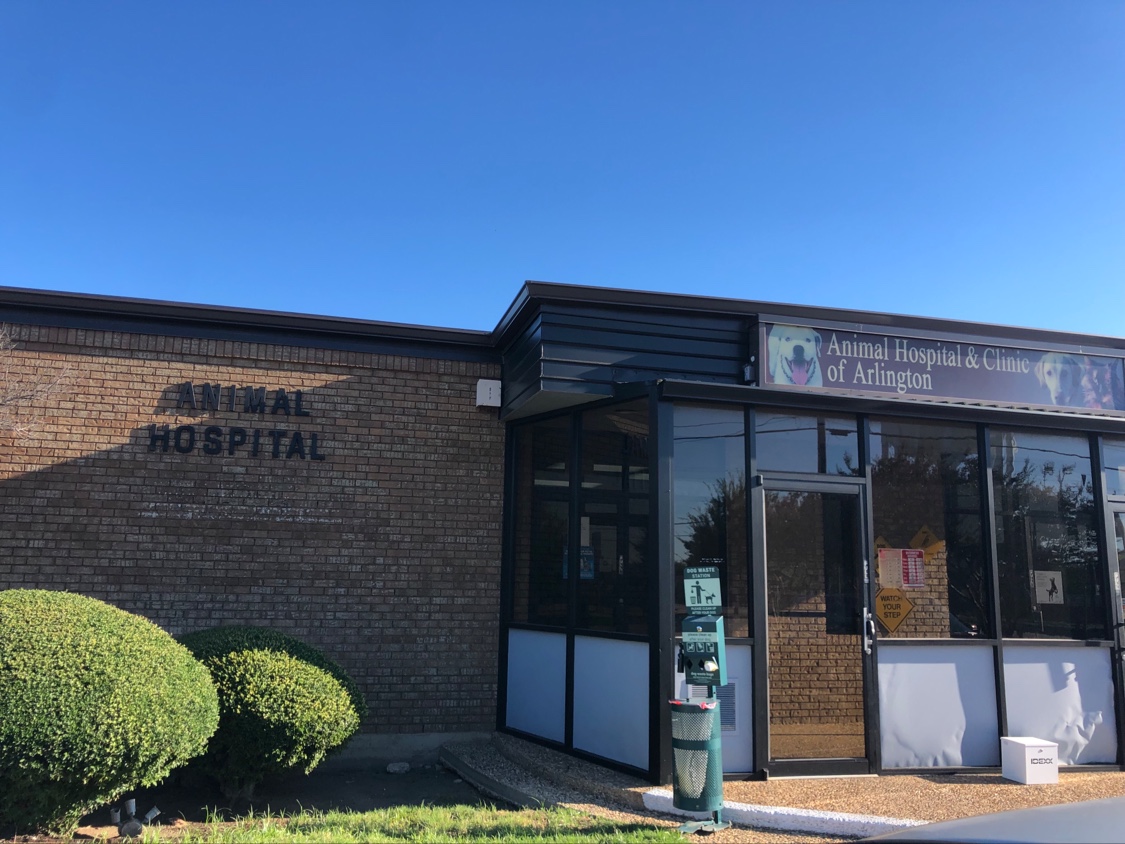 Animal Hospital & Clinic of Arlington - doctors in Fort Worth, TX (Photo 1)