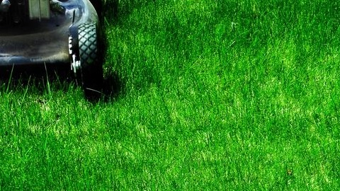 JC's Landscaping LLC - shopping in Plano, TX (Photo 1)