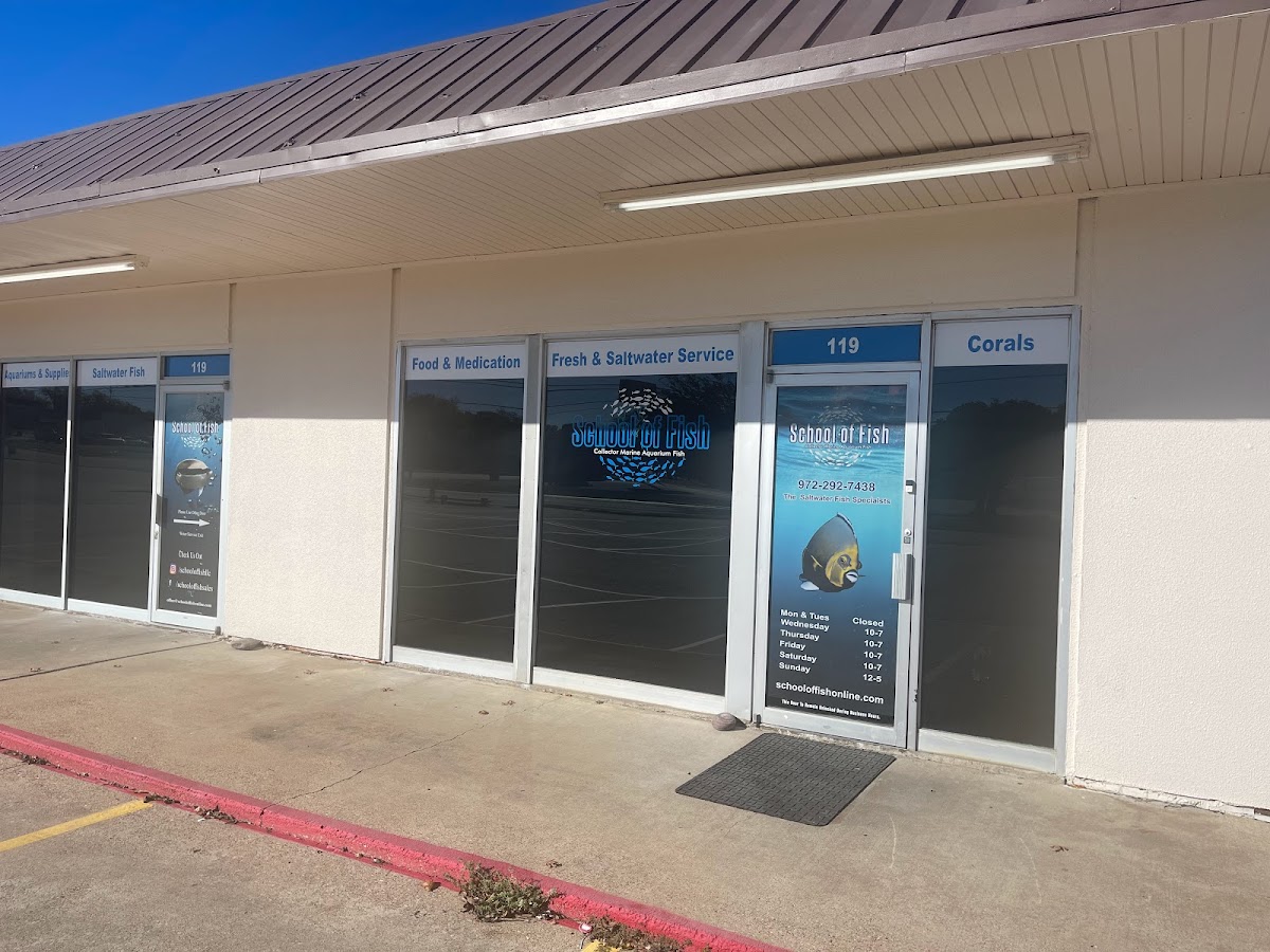 School Of Fish - restaurants in DeSoto, TX (Photo 1)