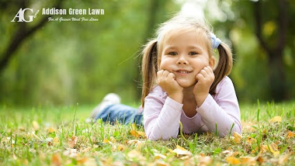 Addison Green Lawn - shopping in Frisco, TX (Photo 2)