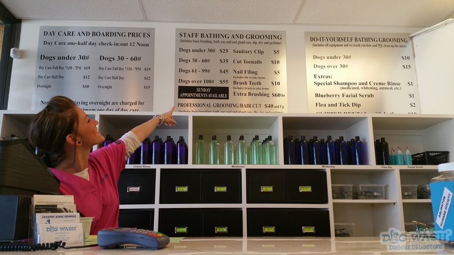 Dog Wash - shopping in Arlington, TX (Photo 1)