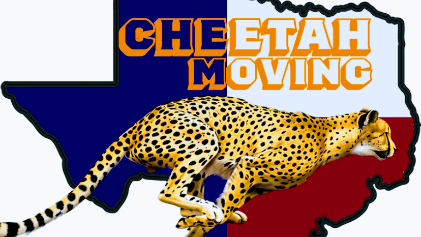 Cheetah Moving - services in Coppell, TX (Photo 1)