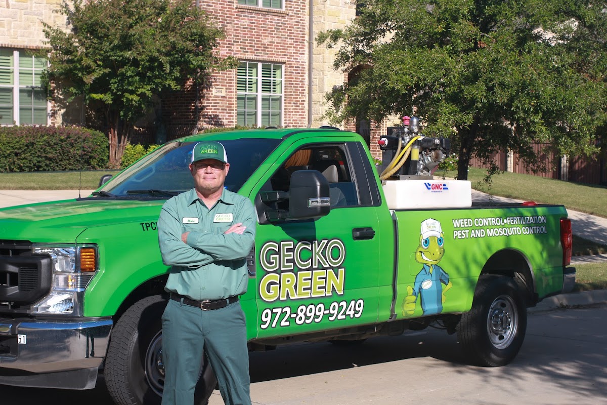 Green - services in The Colony, TX (Photo 1)