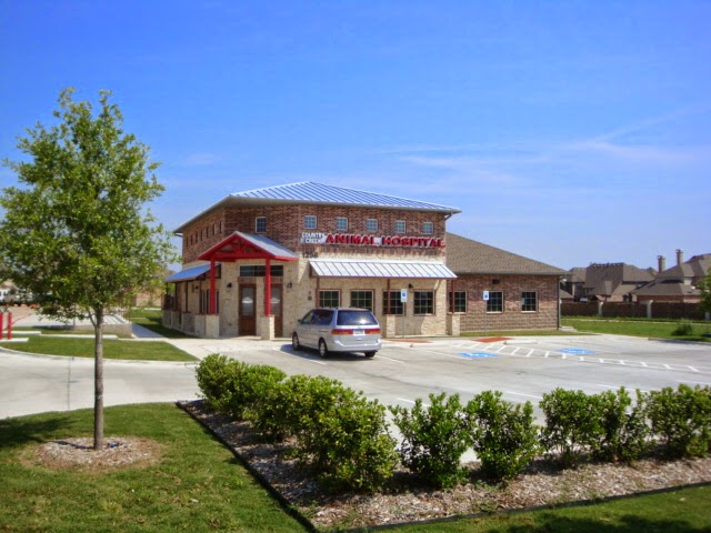 Country Creek Animal Hospital - doctors in Allen, TX (Photo 1)