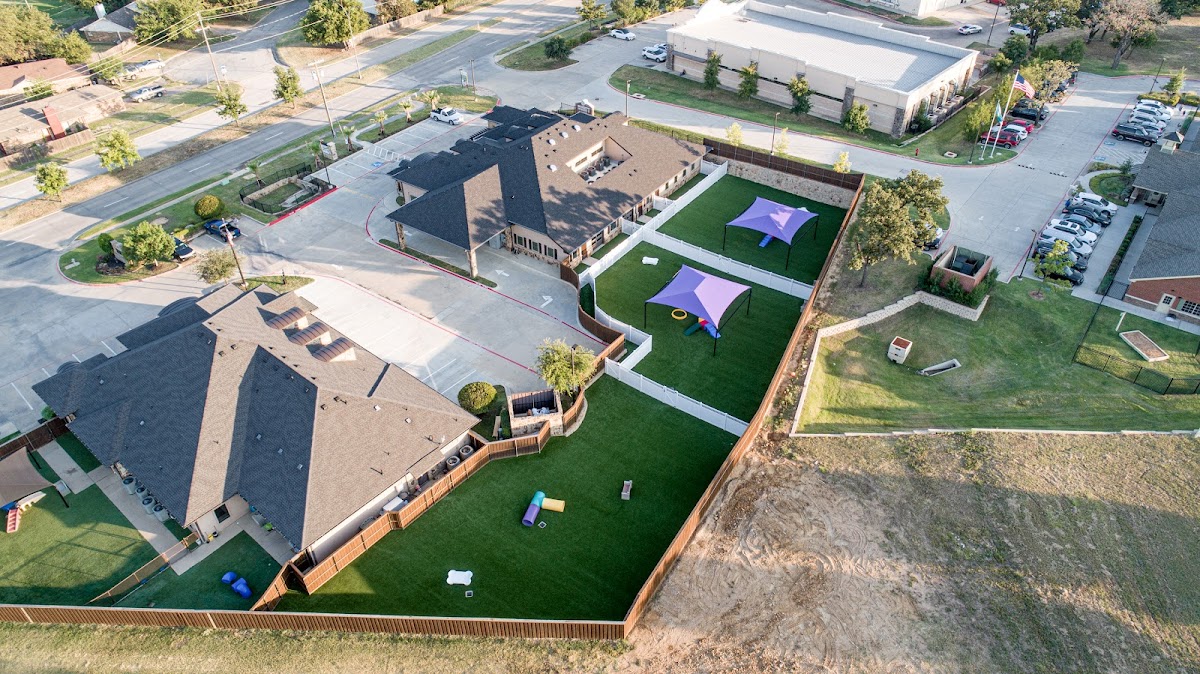 The Royal Pet Resort and Spa - beauty-spas in Arlington, TX (Photo 1)