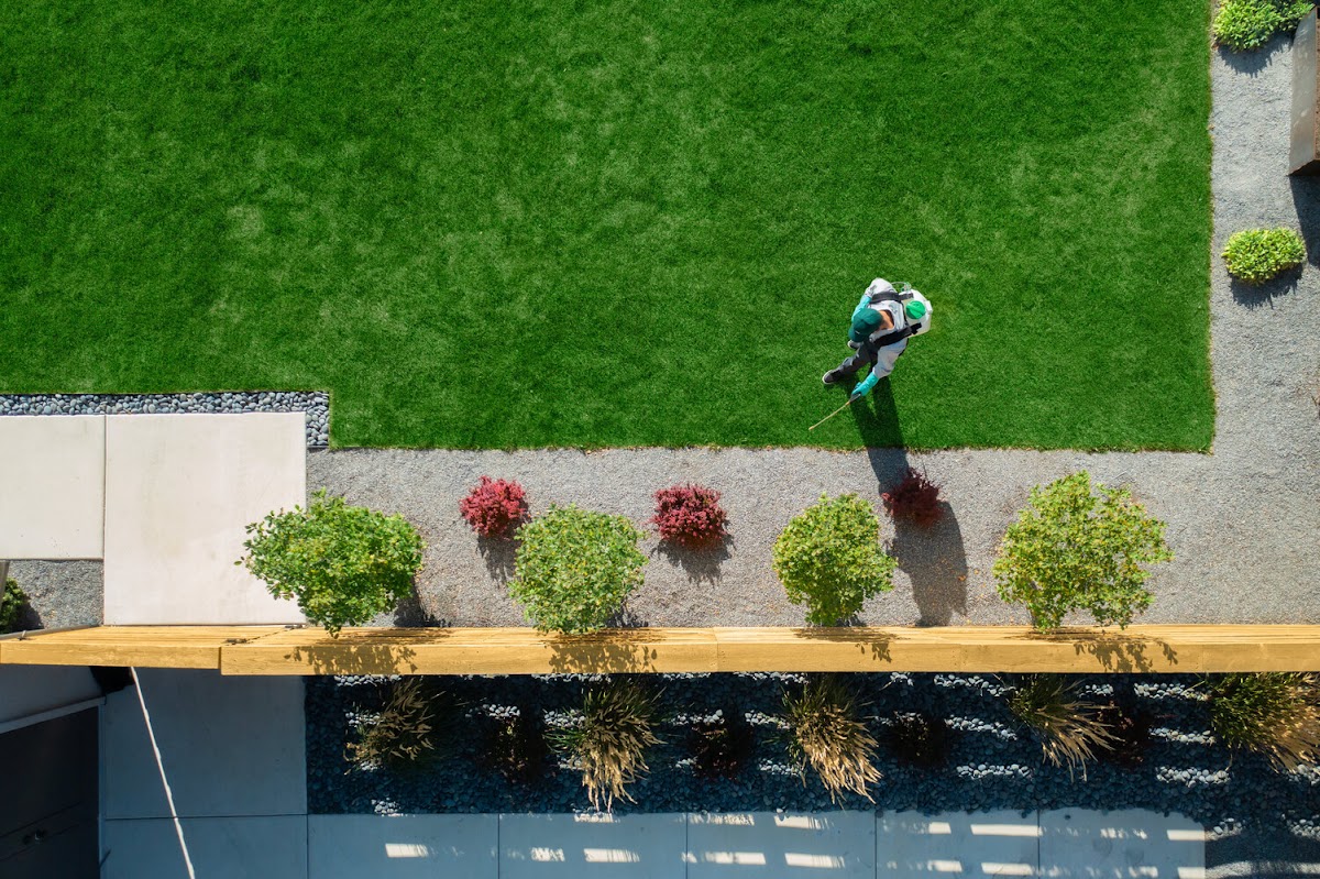 Saela Pest Control - pest-control in Plano, TX (Photo 3)