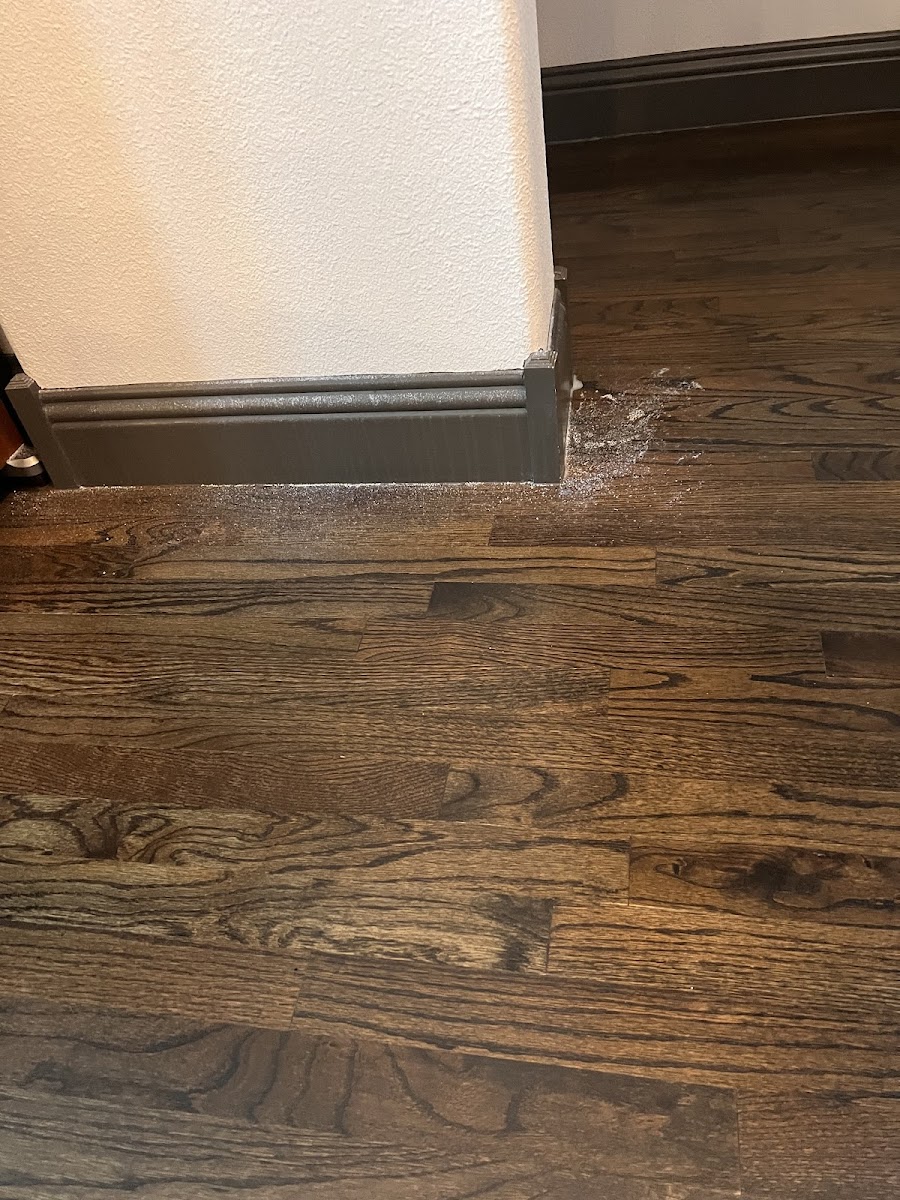 Saela Pest Control - pest-control in Plano, TX (Photo 5)