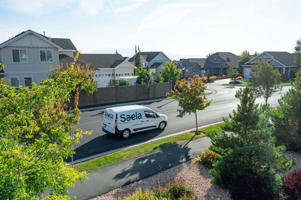 Saela Pest Control - pest-control in Plano, TX (Photo 6)