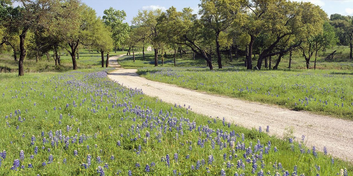 Tariq Mallick MD - doctors in Allen, TX (Photo 1)
