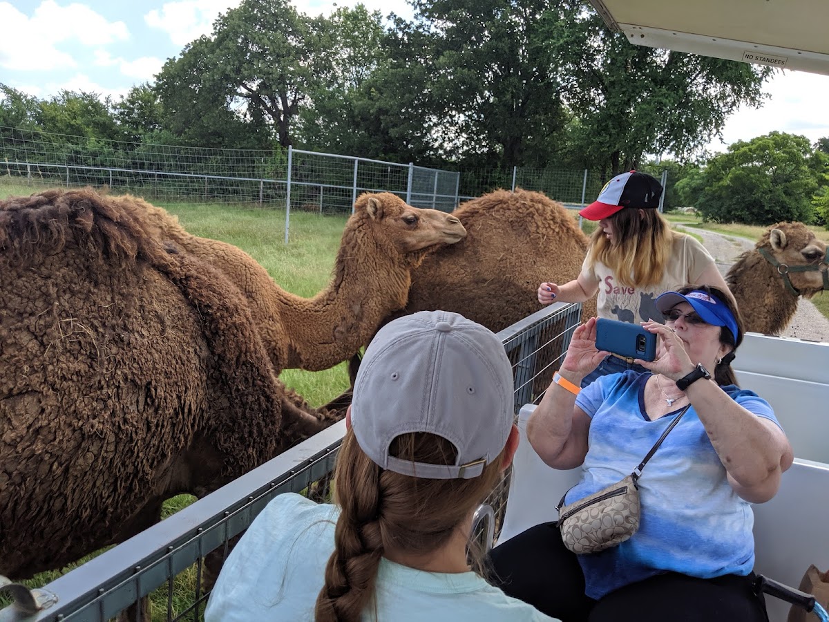 Sharkarosa Zoo - entertainment in Pilot Point, TX (Photo 1)