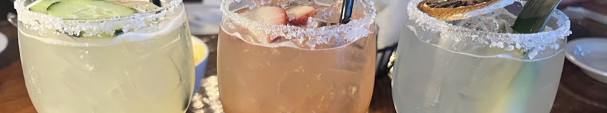 Wild Cactus Cantina & Grill - bars in Denton, TX (Photo 6)