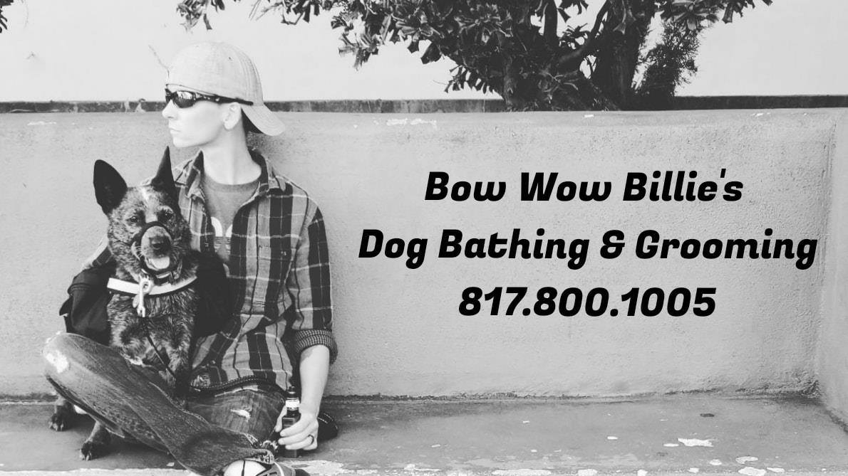 Bow Wow Billie's Dog Bathing and Grooming - shopping in Arlington, TX (Photo 1)