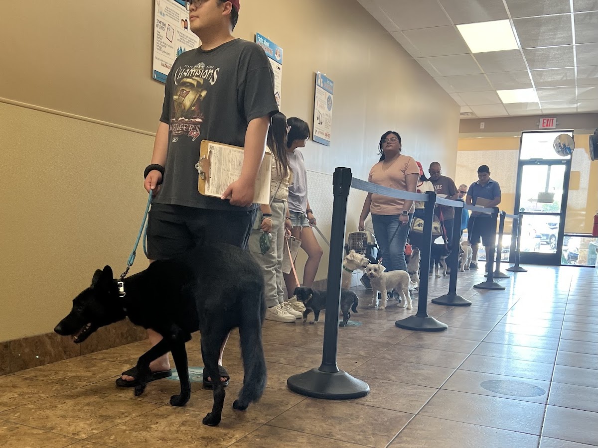 Texas Coalition for Animal Protection | TCAP Allen - shopping in Allen, TX (Photo 1)