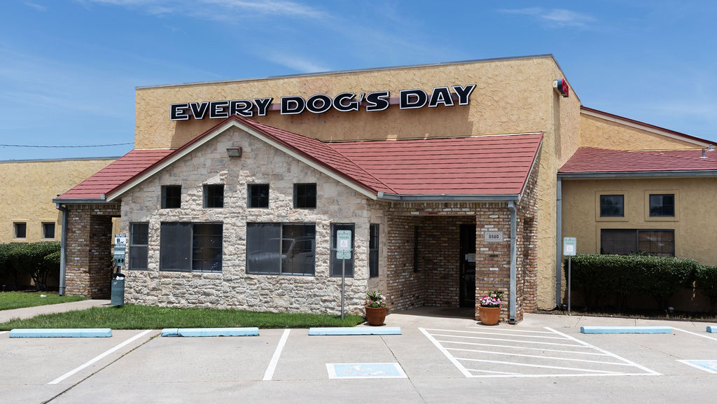 Every Dog's Day - shopping in Frisco, TX (Photo 1)