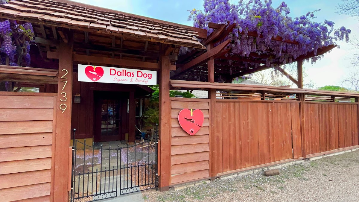 Dallas Dog Daycare and Boarding - shopping in Dallas, TX (Photo 1)